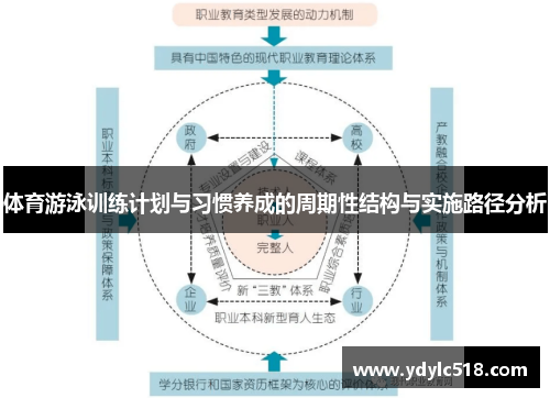 体育游泳训练计划与习惯养成的周期性结构与实施路径分析